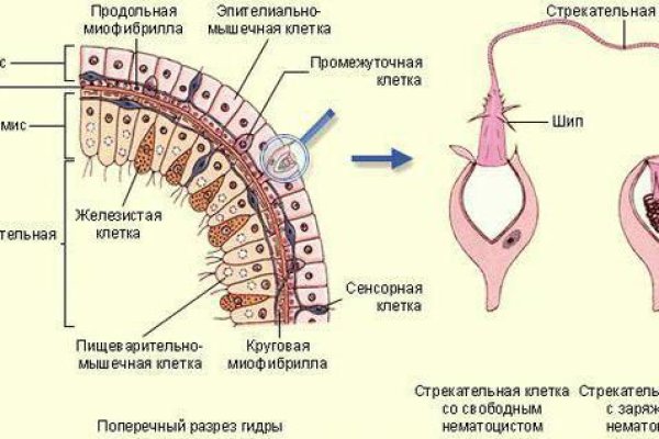 Кракен площадка вход